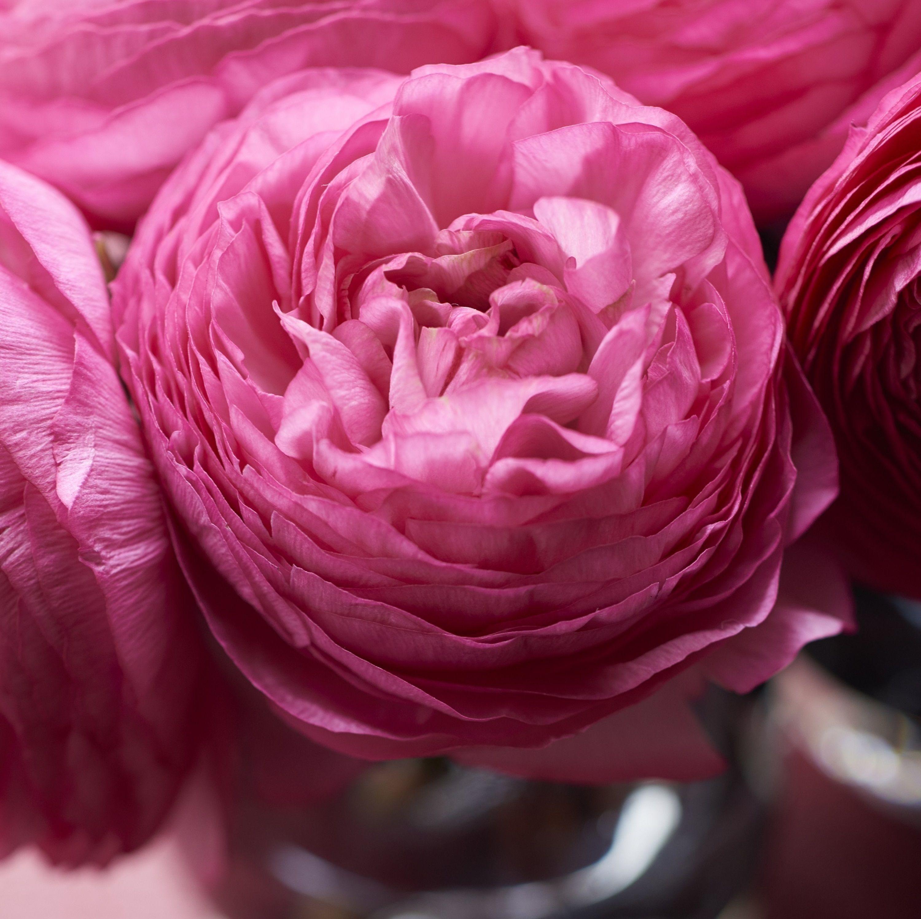 Mandarin Oriental, 5* Ginebra